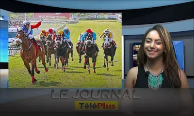 Le Journal Téléplus - Hippisme : suivez en direct le tirage au sort des lignes pour la journée de la Maiden Cup