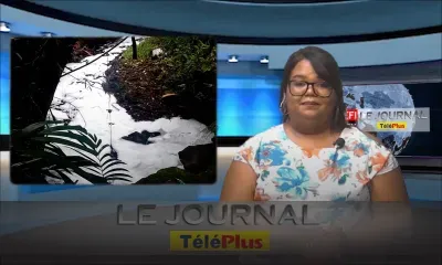 Le Journal Téléplus – La rivière Mesnil recouverte de mousse, l’origine de la pollution se situe à la rue Lees à Curepipe