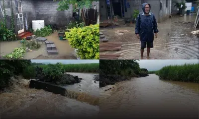 [En images] Bramsthan : l'avenue l'Orchidée inondée de nouveau