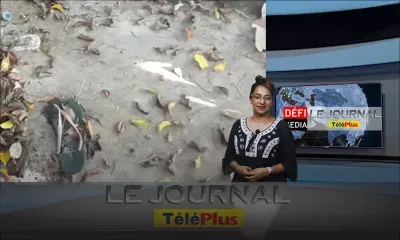 Le JT – Deux femmes retrouvées mortes à leurs domiciles respectifs