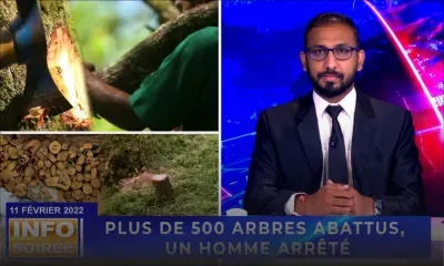 Info Soirée : "Finn ena enn trafic anviron 4,5 millions dibwa santal"