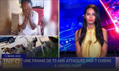 Info Soirée : «  zot ine morde mwa, kan mo p kass brede », pleure la victime