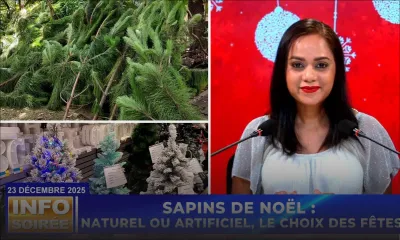 [Info Soirée] : « Ziska 19 mil rupi pu enn sapin artifisyel » 