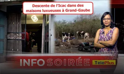 [Info Soirée] : «Mo bann zanfan fer bizness zanimo» 