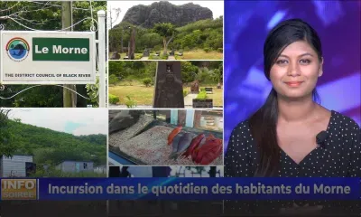 [INFO SOIRÉE] :  Symbole de résistance des esclaves : «Nou anvi nou vilaz Au Morne avanse»