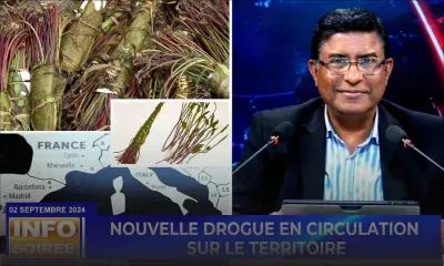 [Info Soirée] : « La drogue dite « khat » détectée à Maurice »