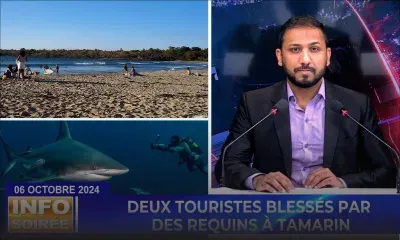 [Info Soirée] «Zot pa respekte nou lamer zot fer brit ek zanimo»