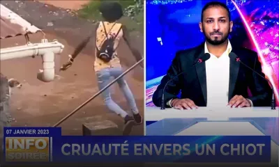 [Info Soirée] : « Mo sispekte Tacha Lamour »