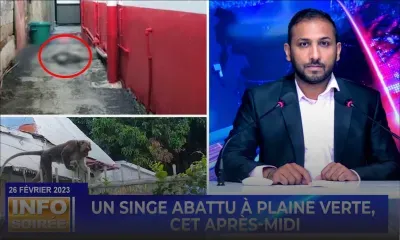 [Info Soirée] : «Li ilegal sa»