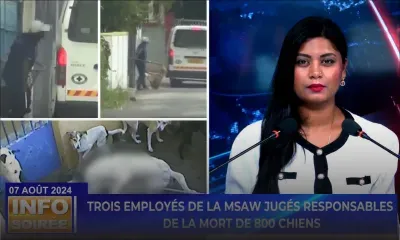 Info Soirée : « Lisien ti pe manz zot kamarad akoz pa ti ena ase manze »