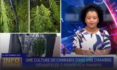 [Info Soirée] : «Pa premie fwa li arete pou plantasion gandia»  