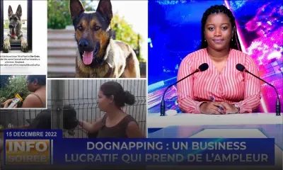 [Info Soirée] : « En moyenne 5 lisien perdi par zour »