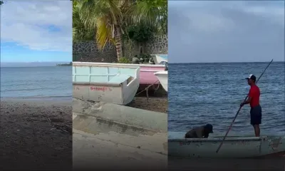 Avis de fortes houles : des bateaux à terre, la parole aux pêcheurs