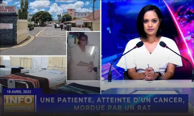 [Info Soirée] : « Kouma lera finn manz so figir, linn mor »