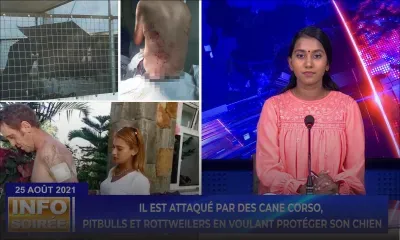 [Info Soirée] : «Zot fine morde mwa o mwen 20 fwa dans mo ledo, lipie ek lebra»