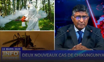 [Info Soirée] : « Deux nouveaux cas de Chikungunya »