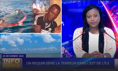 [Info Soirée] : «Kan nou pe riss li, rekin la ine re manz li»