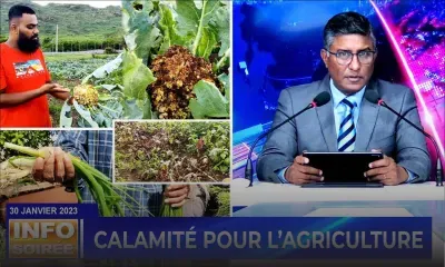 [Info Soirée] : « Ena legim pa pu ganye, pri pu monte »