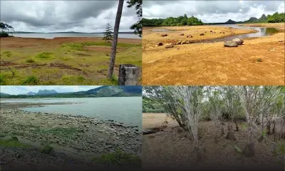 Réservoirs : scènes de désolation à Mare-aux-Vacoas, Piton-du-Milieu et La Ferme