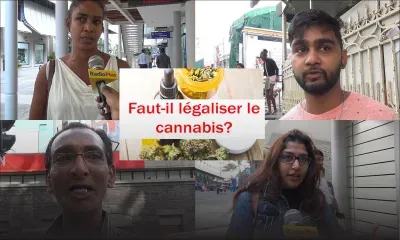 [Micro-trottoir] Ça fait débat : faut-il légaliser le cannabis médical à Maurice ?