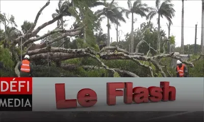 Le Flash TéléPlus : Carlos fait autant de bien que de mal 