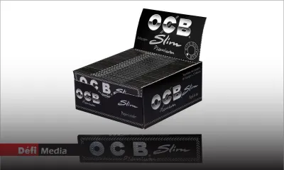 Saisie de Rs 125 M de «ti papier» : un employé de la STC arrêté et inculpé