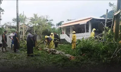 Sébastopol : une «tornade» sème la panique 