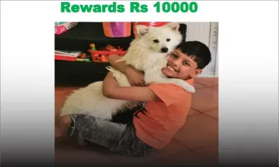 Aidez Ryan à retrouver Sparky