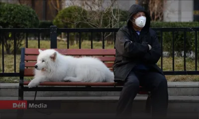 Covid-19 - Dr Joomaye : «Bann dimoun ki ena sintom bizin evit kontak avek zanimo»