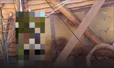 Bambous : une chienne qui attendait des petits retrouvée pendue, le propriétaire arrêté