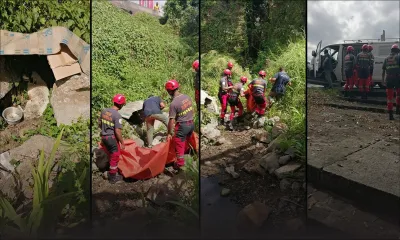 À Trianon : opération de sauvetage d'un chien abandonné