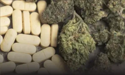 À Port-Louis : cannabis et psychotrope saisis chez un mécanicien