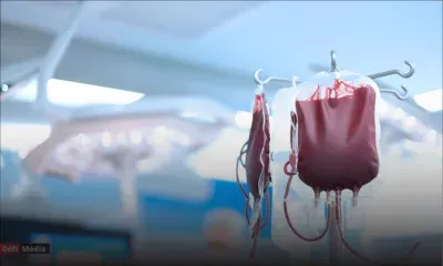 Témoin de Jéhovah transfusée contre son gré : l'Espagne condamnée par la CEDH