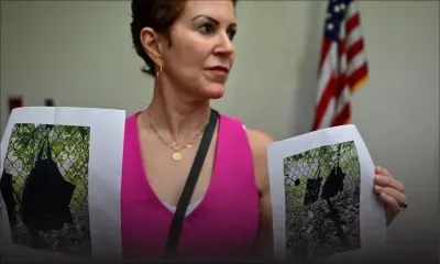 Trump réchappe à une nouvelle tentative d'assassinat présumée