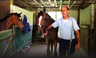 Hippisme - Rencontre - Satish Prayagsingh : "Je peux rentrer au turf club la tête haute..."