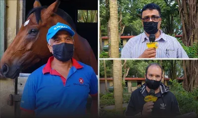 [Bonjour Floréal] : Hippisme : Les chevaux de Mahadia accélèrent le rythme
