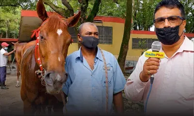 Hippisme - Bonjour Floréal : Beni des Dieux dans une forme impeccable