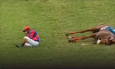 Après une chute dans la deuxième course hippique d'aujourd'hui : Mounted Warrior euthanasié, plus de peur que de mal pour Bheekary