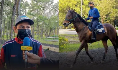 Hippisme - Bonjour Floréal : Quelques chevaux sur la bonne voie