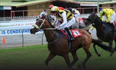 The Barbé Cup - P. d’Age [60+] G.1 – 1600 m : Twist Of Fate, les Rousset et les autres…