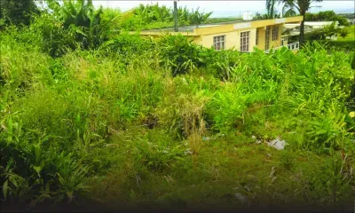 Union Park: Un terrain de l’État en friche réhabilité