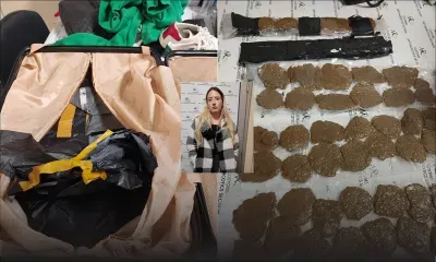 Trafic de drogue : du cannabis d’une valeur de Rs 15 M trouvé dans les bagages d’une Française