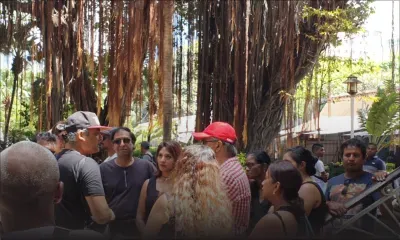 Post-législatives : faute de participants, la plateforme « Nu Lavwa Nu Dignite » reporte sa marche 