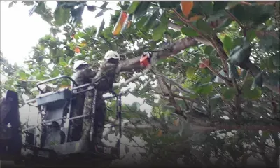  Moris nou zoli pei : la campagne se poursuit 