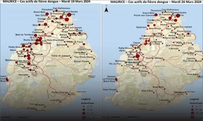 Santé publique - Dengue : de nouveaux foyers identifiés
