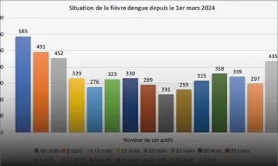 Depuis décembre 2023 - dengue : un nouveau décès porte le nombre à huit 