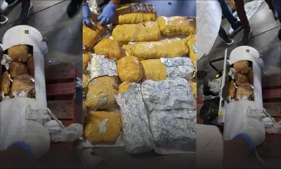 Port : 21 kilos de cannabis découverts dans un compresseur et de la nourriture pour chiens