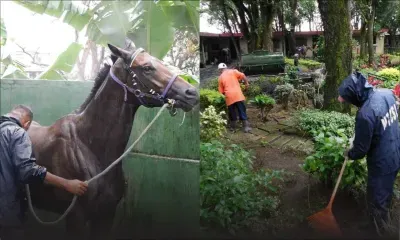 MTCSL : les employés priés de ne plus se rendre au travail