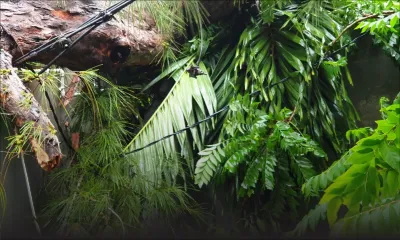 Cyclone Freddy : environ 500 abonnés privés d’électricité