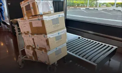 Élections régionales : les bulletins de vote acheminés vers Rodrigues